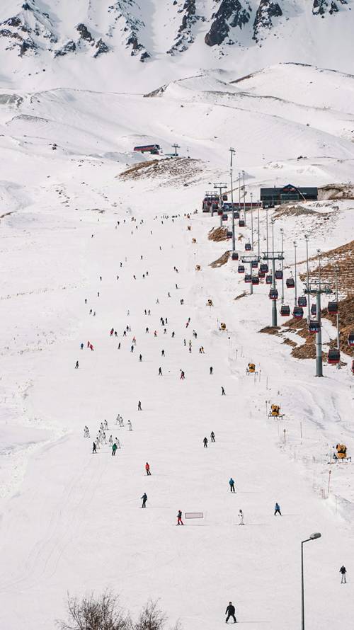 Grupo disfrutando día de nieve