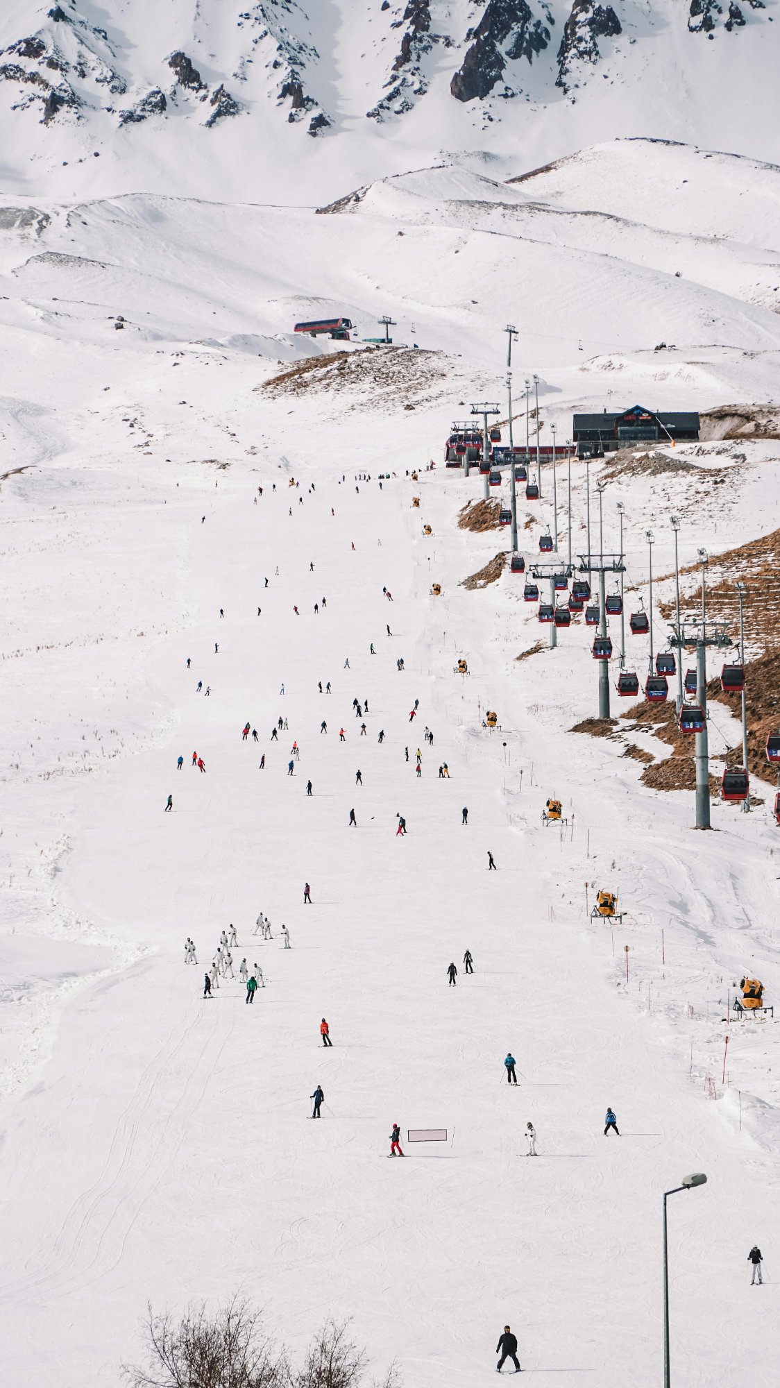 Grupo disfrutando día de nieve